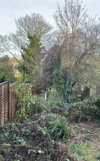 Pete's garden services tree surgeon in Romford, London