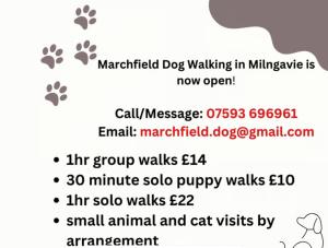 Milngavie Dog Walker